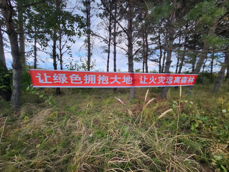 a726d785152dd38283b8a213c8cc485(1).jpg