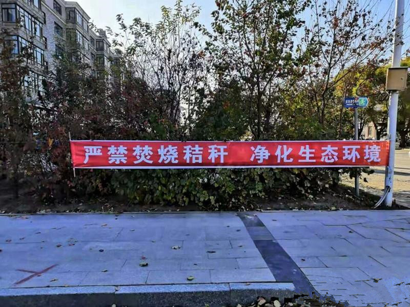 2前进农场有限公司奏响秸秆禁烧“三部曲” 筑牢安全生产“防火墙”.jpg