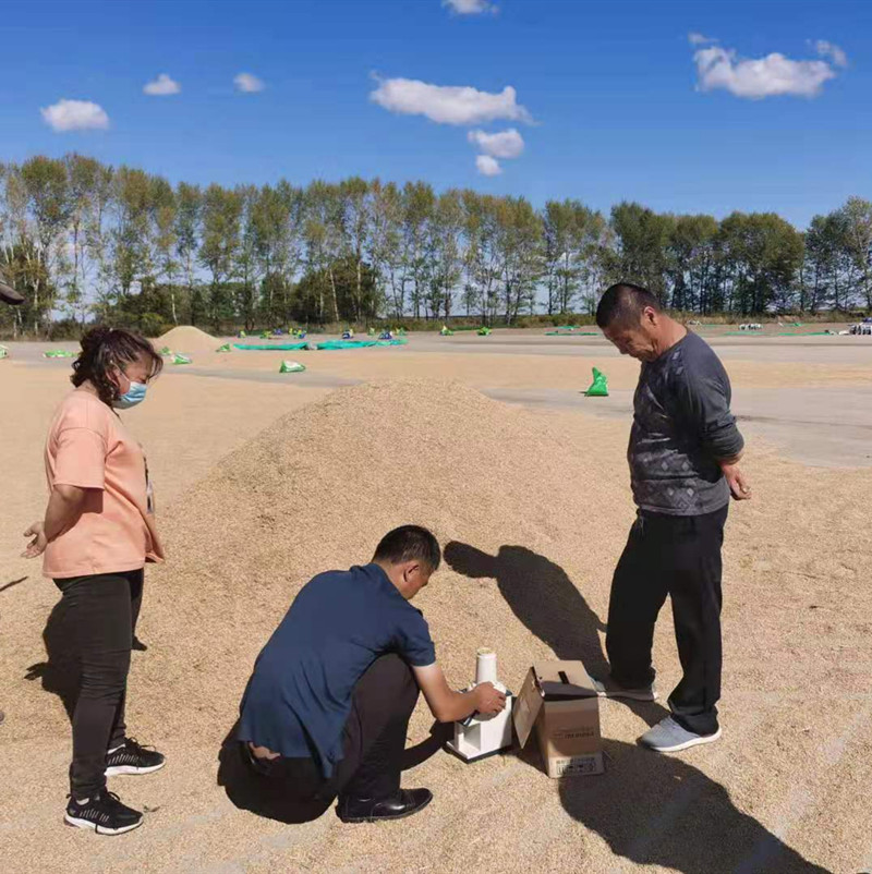 第十一管理区多举措科学指导田间粮食安全储存(图1)