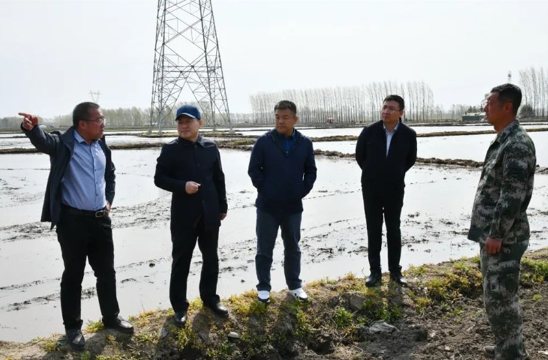 前进农场有限公司强化一线指导全力推进插秧工作(图2)