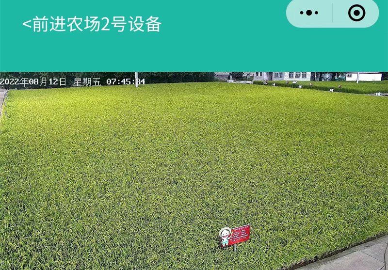 前进农场有限公司“我在三江有亩田”体验式服务显成效(图2)