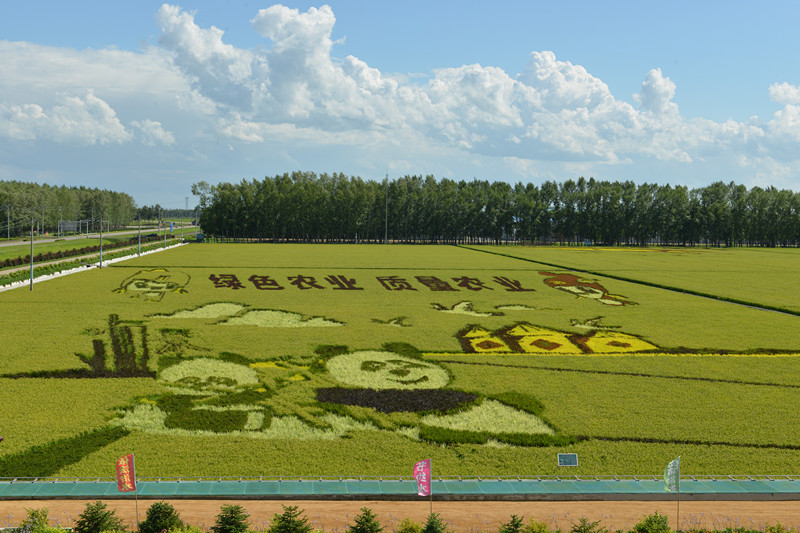 DSC_7567_副本.jpg