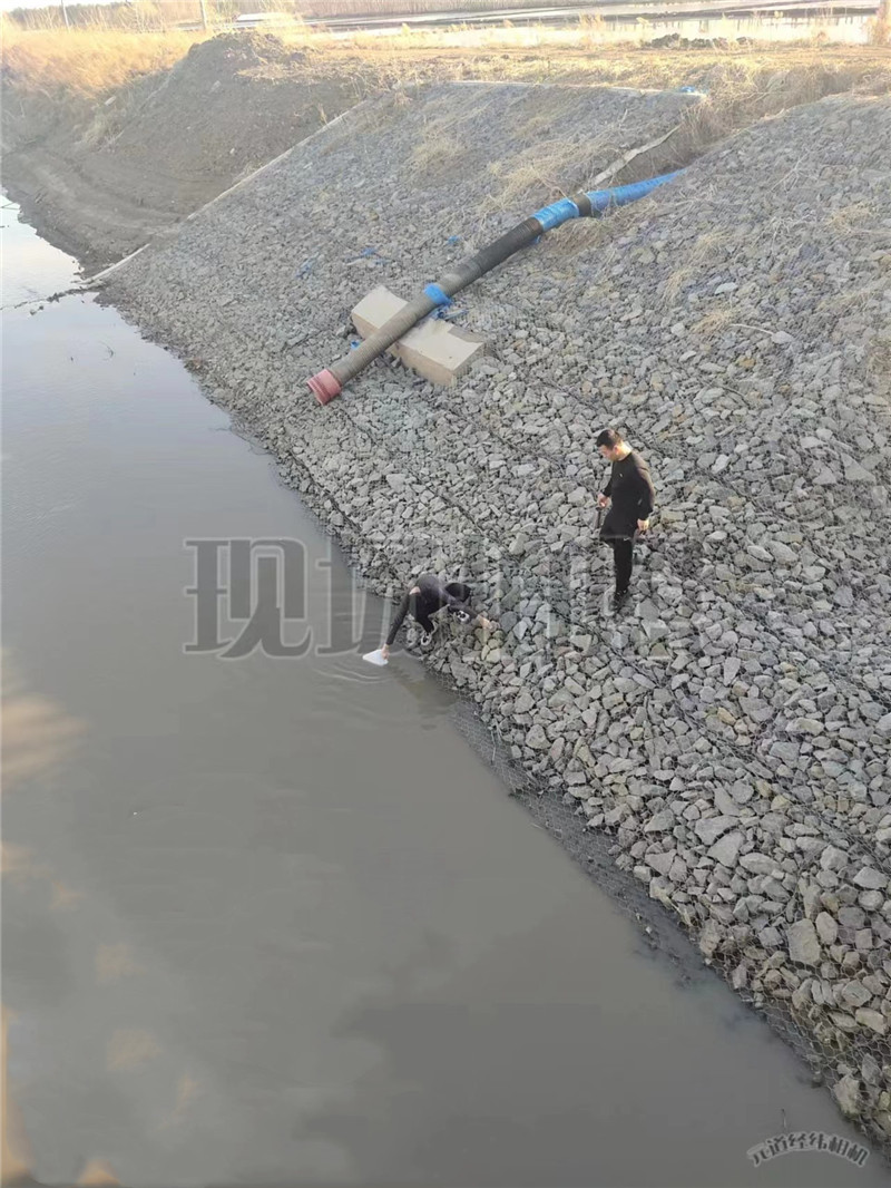 前进农场有限公司开展入河排污口排查整治专项行动(图2)