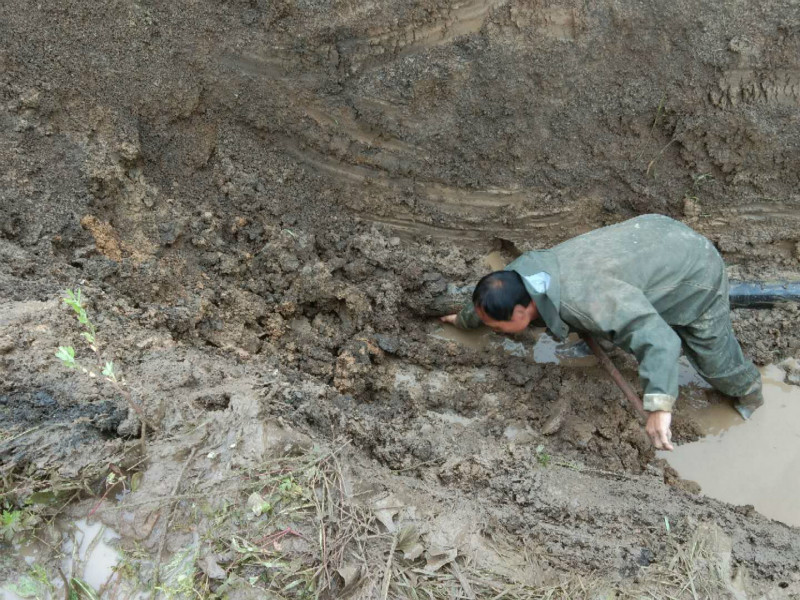晨练发现漏水点 紧急抢修不容缓(图1)