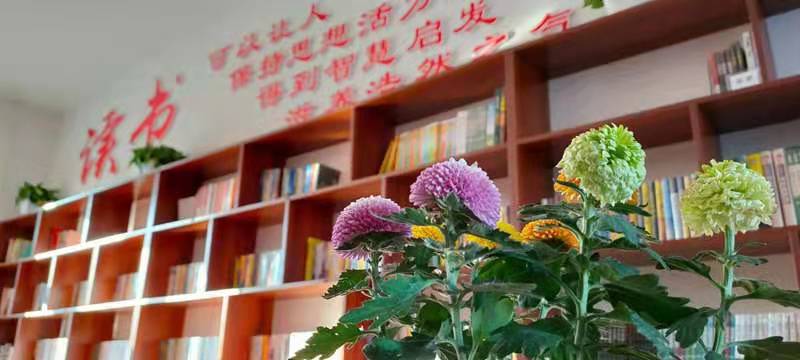 红卫农场 建设朝气蓬勃文化氛围 释放北大荒精神正能量(图2)