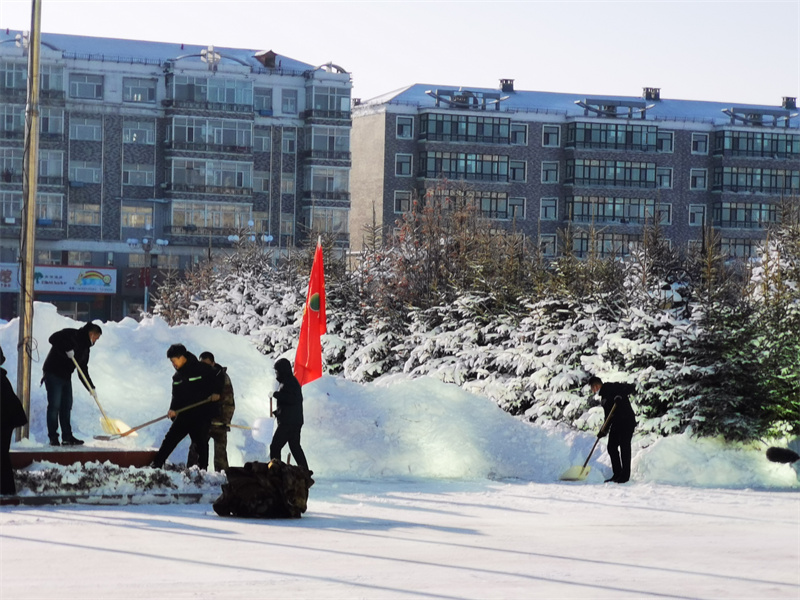前进农场有限公司党员清雪冲在前 为群众办实事暖人心(图2)