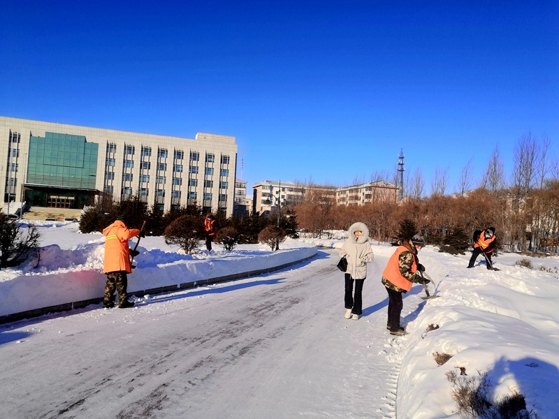 前进农场有限公司美化街道喜迎春节(图2)
