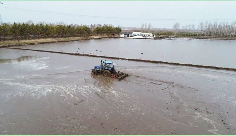 前进农场有限公司抢先抓早按下泡田整地“启动键”(图1)