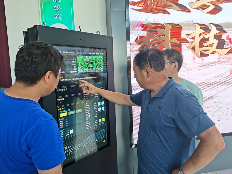 北大荒集团绿色高质高效专家组到前进农场检查(图4)