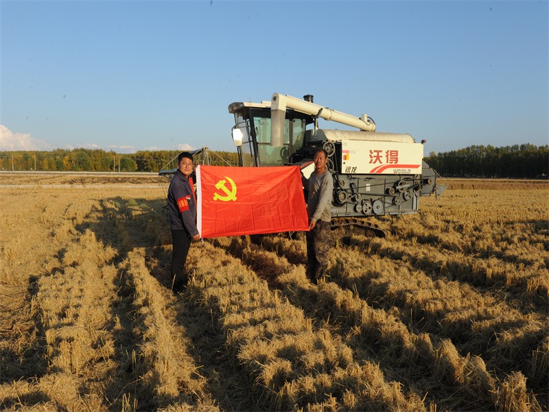 前进农场有限公司防疫一线党旗红 凝心聚力保秋收(图2)