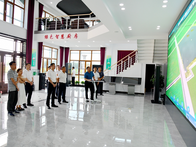 DSC_1245.JPG