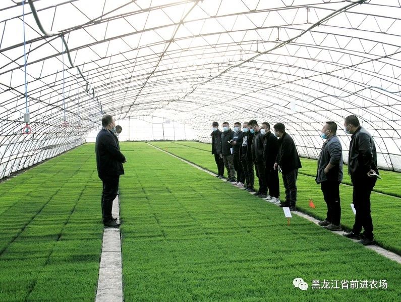 前进农场有限公司以学增智推动主题教育落地见效(图2)