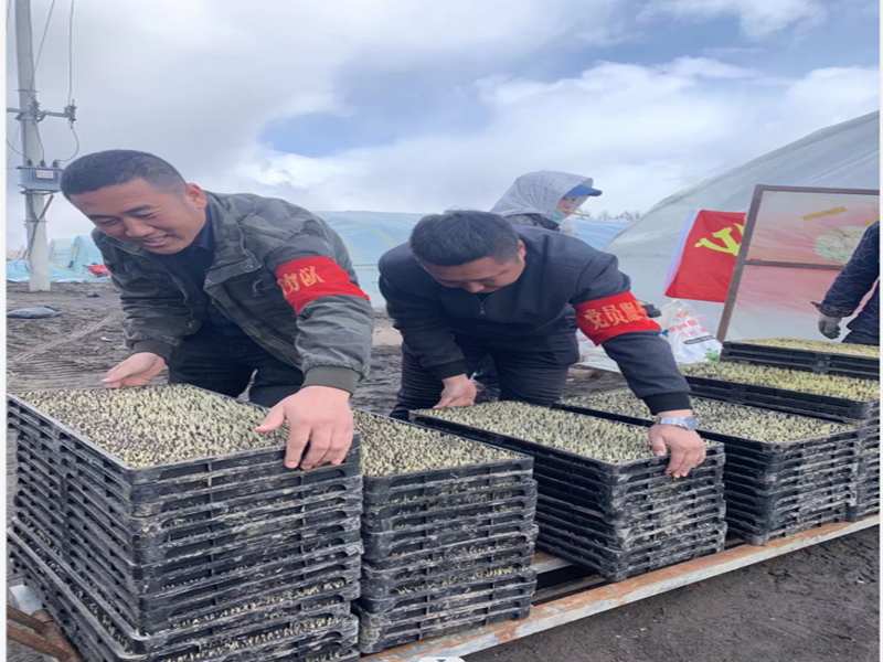 前进农场有限公司念好“五字诀”环环相扣跑出主题教育“加速度”(图3)