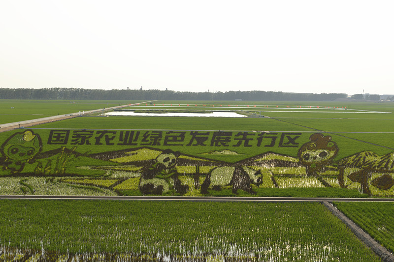 前进农场有限公司擦亮黑土地保护“底色”(图2)