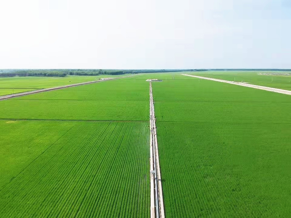 3.前进农场“1234”标准化格田改造地块_副本.jpg