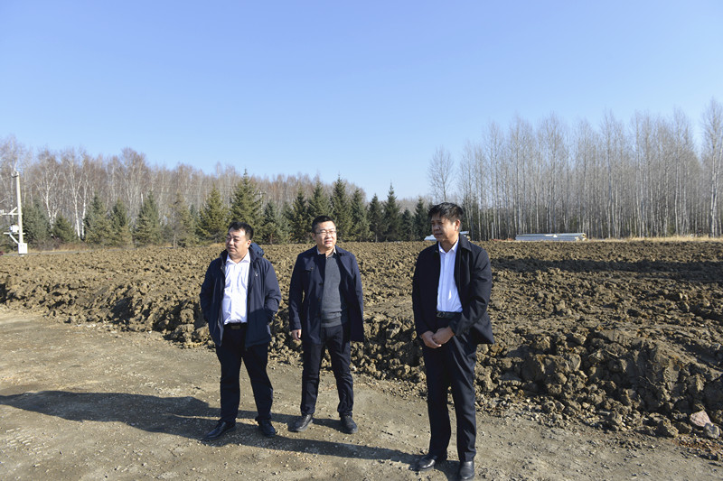 前进农场有限公司纪委开展黑土地保护专项巡查工作(图2)