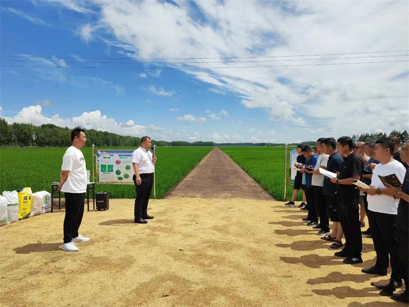 前进农场有限公司围绕“三心”做文章 让主题教育落地生根(图1)