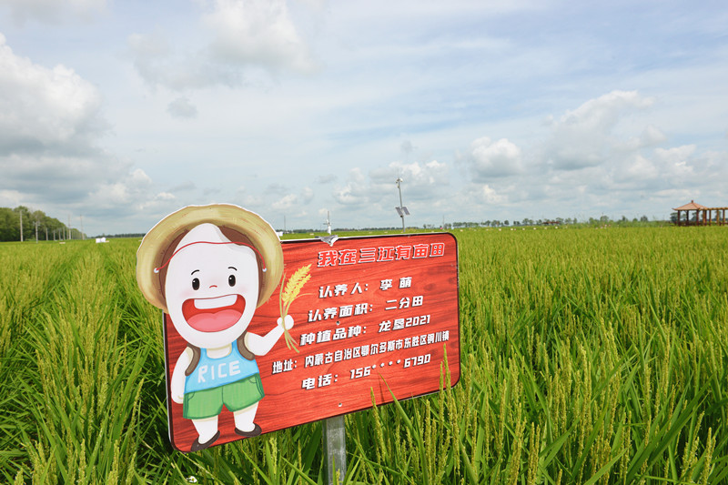前进农场有限公司打造专属基地助力现代农业提档升级(图1)