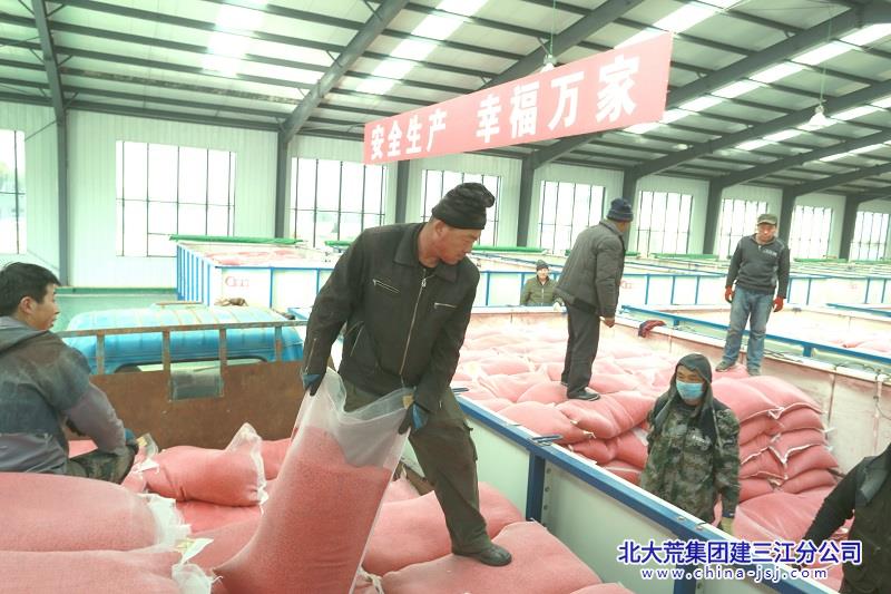 前锋农场有限公司科技赋能春耕芽种出箱“智”造希望(图1)
