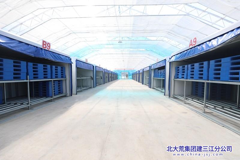 洪河农场有限公司智慧赋能   打造水稻产业集群新典范(图2)