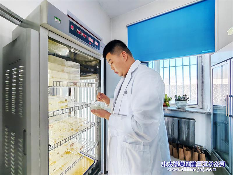 勤得利农场有限公司向春而行踏新程 铆足干劲备春耕(图2)