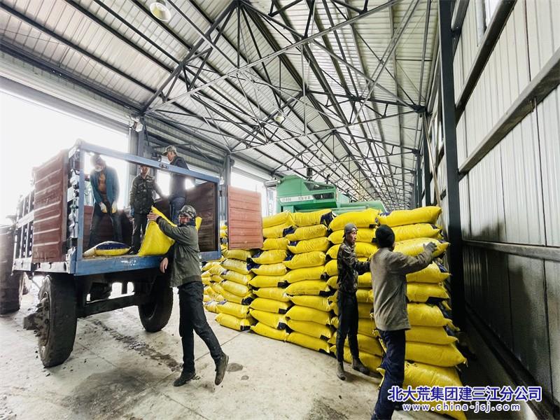 勤得利农场有限公司春耕备耕“战犹酣”(图1)
