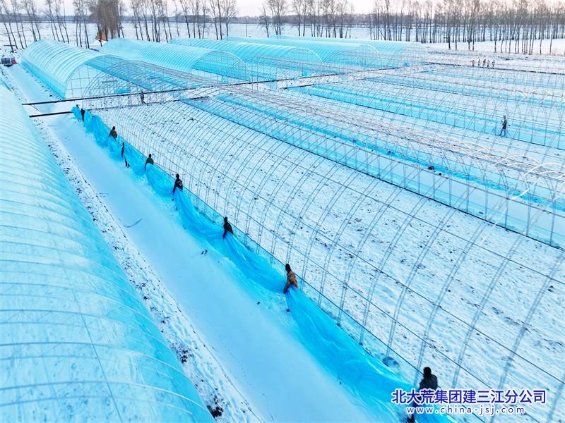 勤得利农场有限公司春耕备耕“战犹酣”(图4)