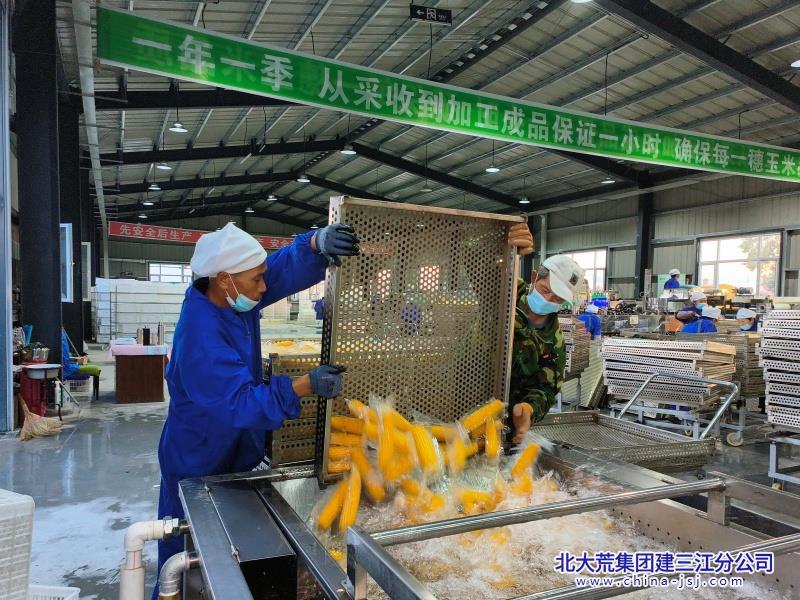 七星农场有限公司加强科技创新和产业创新深度融合(图3)