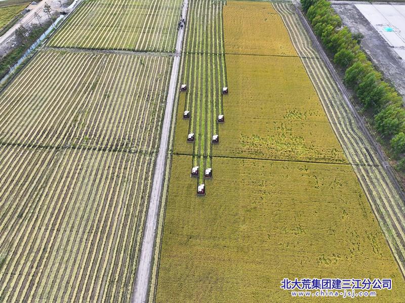 前进农场有限公司稳中求进交出现代农业优异答卷(图1)