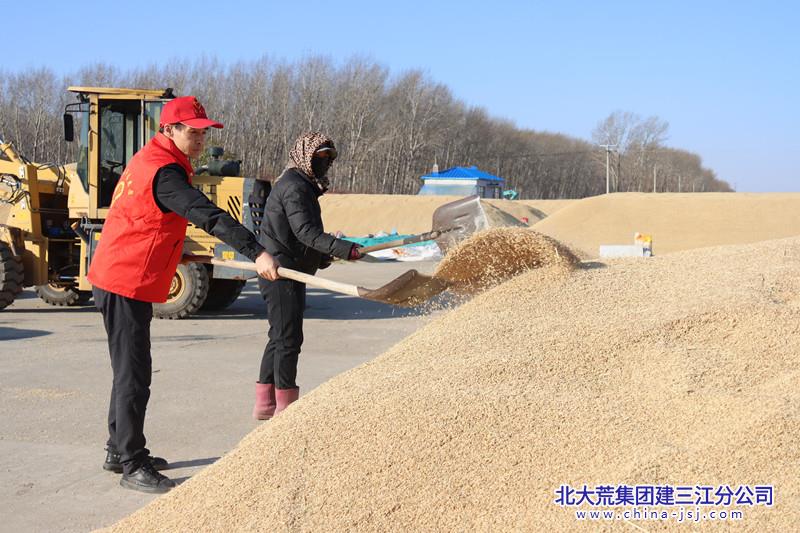 八五九农场有限公司“红色引擎”领航企业高质量发展(图3)