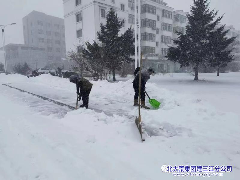前进农场有限公司闻雪而动多部门联合行动保畅通(图2)