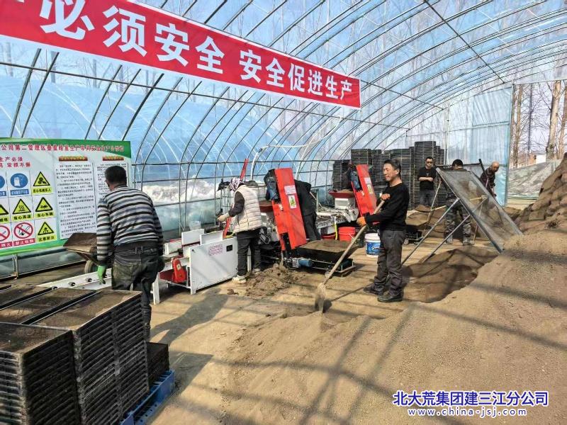 前锋农场有限公司新技术与社会化服务携手 赋能农业新质生产力(图1)