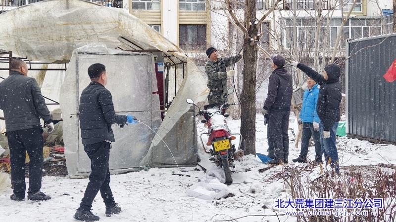大兴农场有限公司全力推进占绿违建拆除工作(图1)