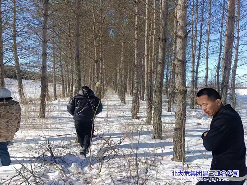前锋农场有限公司打响“巡山清套”攻坚战 严织野生动物“保护网”(图1)