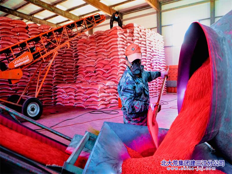 勤得利农场有限公司良种穿“新”衣 培育壮秧苗(图1)