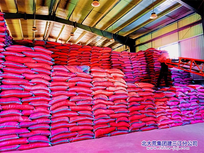 勤得利农场有限公司良种穿“新”衣 培育壮秧苗(图3)