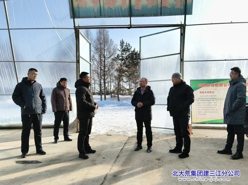 前哨农场有限公司强化督导检查 全力推进当前各项重点工作(图1)