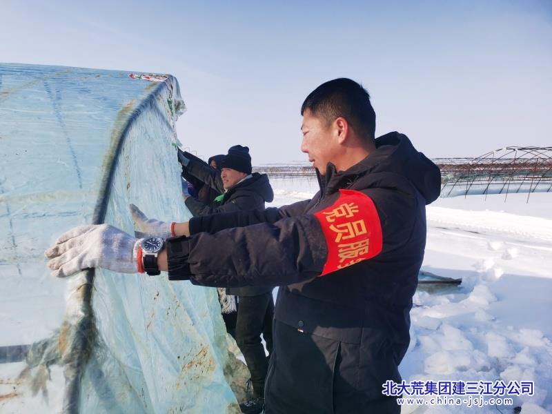 七星农场有限公司科技备耕农事忙 党员奏响“进行曲”(图1)