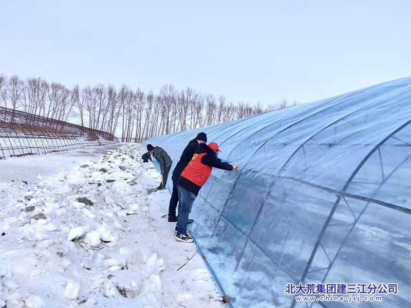 七星农场有限公司万象“耕”新不负春 春耕备耕正当时(图1)