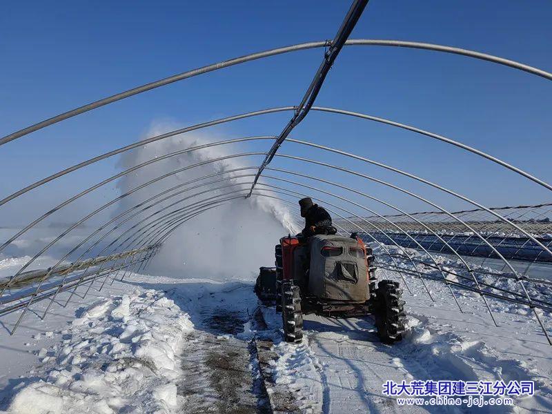 七星农场有限公司打好开门“第一仗” 抢抓农时备春耕(图1)