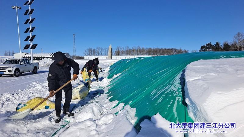 七星农场有限公司以“保障粮食安全”之职 践“为农服务”初心(图1)