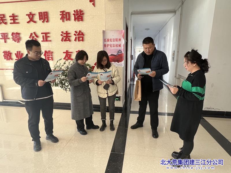 浓江农场有限公司积极开展宪法宣传普法活动(图1)