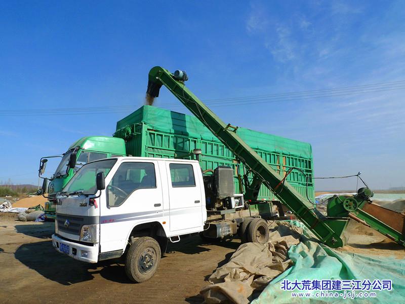 勤得利农场有限公司粮食销售与保管同步推进   (图2)