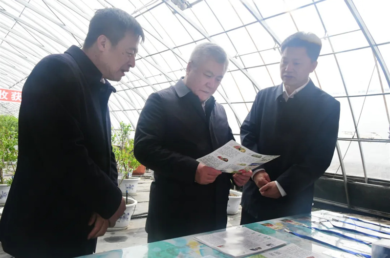 农垦改革新动向：王兆成调研定制农业示范基地，提出订单+科技+品牌三驱发展模式