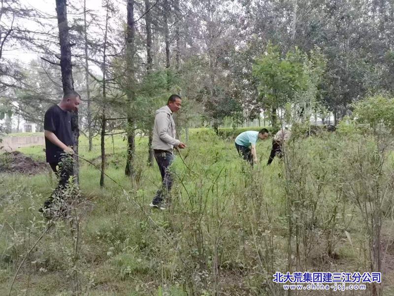 微信图片_20240812062353.jpg
