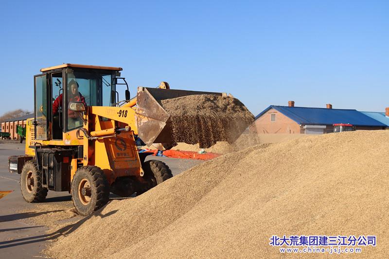 八五九农场有限公司加强粮食管护 筑牢粮食安全防线(图1)
