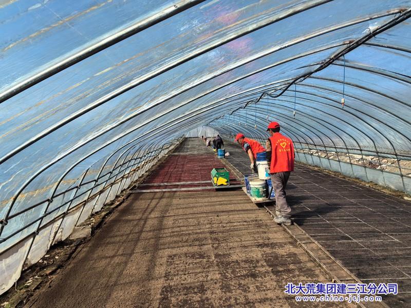 浓江农场有限公司高标准开展水稻播种育秧工作为春播争主动(图1)