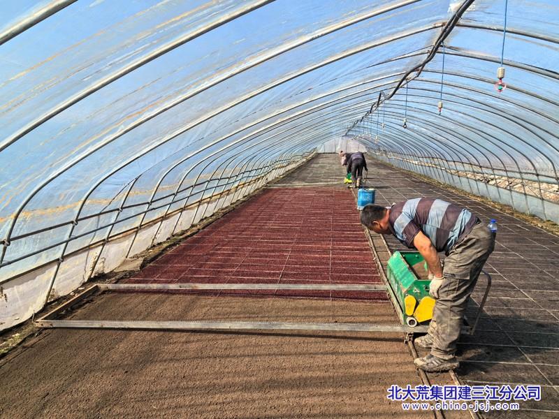 浓江农场有限公司高标准开展水稻播种育秧工作为春播争主动(图2)
