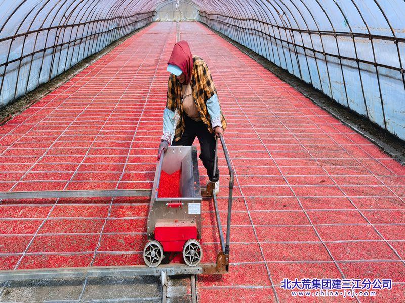 微信图片_20250402080853.jpg