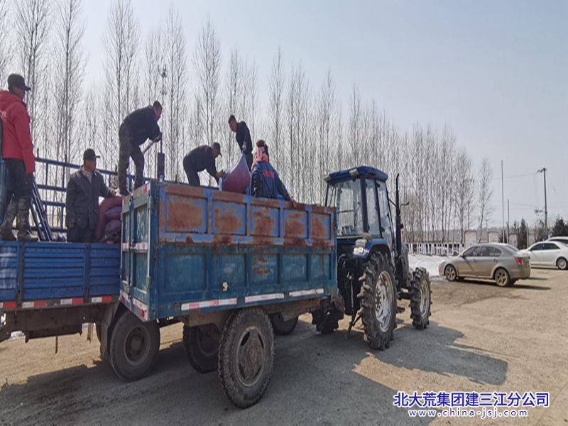 发放芽种.jpg